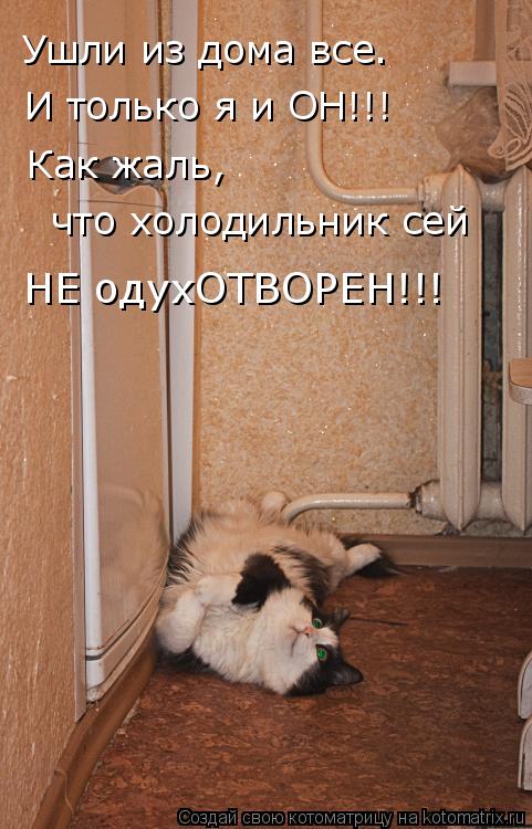 Ушли из дома все. И только я и ОН!!! Как жаль, что холодильник сей НЕ одухОТВОРЕН!!!... Котоматрица: Ушли из дома все. И только я и ОН!!! Как жаль, что холодильник сей НЕ одухОТВОРЕН!!!