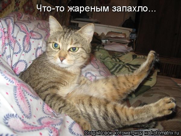 Что-то жареным запахло...... Котоматрица: Что-то жареным запахло...