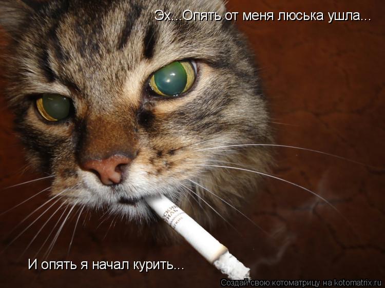 Эх...Опять от меня люська ушла... И опять я начал курить...... Котоматрица: Эх...Опять от меня люська ушла... И опять я начал курить...