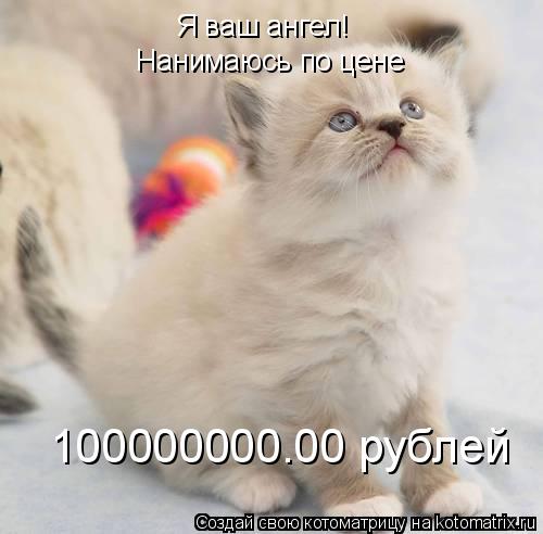 Я ваш ангел! Нанимаюсь по цене 100000000.00 рублей... Котоматрица: Я ваш ангел! Нанимаюсь по цене 100000000.00 рублей