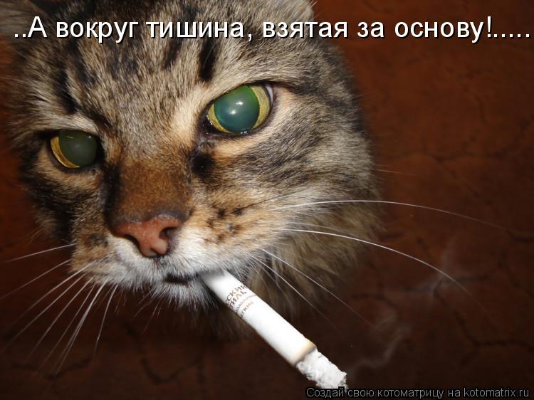 ..А вокруг тишина, взятая за основу!............ Котоматрица: ..А вокруг тишина, взятая за основу!.........