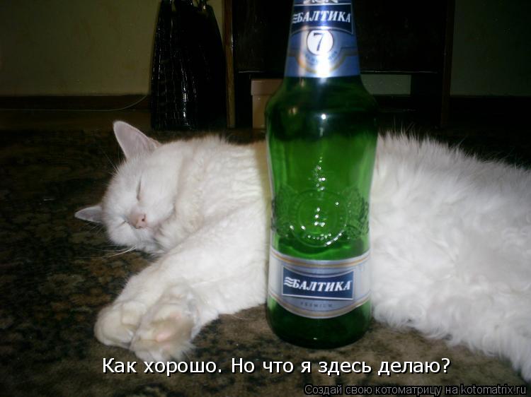 Как хорошо. Но что я здесь делаю?... Котоматрица: Как хорошо. Но что я здесь делаю?