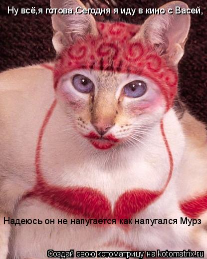 Ну всё,я готова.Сегодня я иду в кино с Васей, Надеюсь он не напугается как напугался Мурз... Котоматрица: Ну всё,я готова.Сегодня я иду в кино с Васей, Надеюсь он не напугается как напугался Мурз