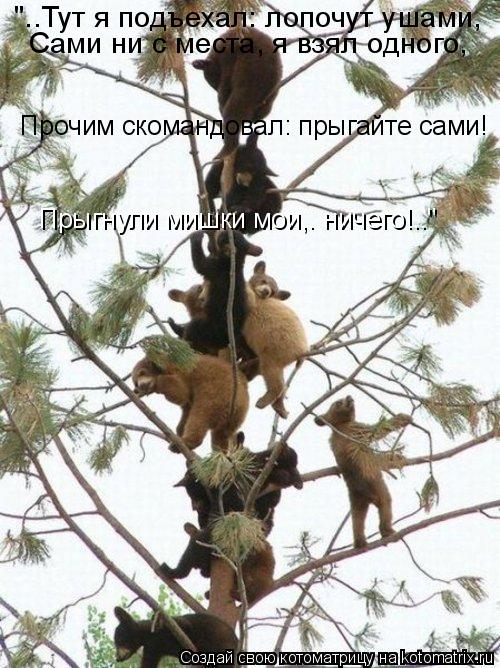 "..Тут я подъехал: лопочут ушами, Сами ни с места, я взял одного, Прочим скомандовал: прыгайте сам... Котоматрица: "..Тут я подъехал: лопочут ушами, Сами ни с места, я взял одного, Прочим скомандовал: прыгайте сами! Прыгнули мишки мои,— ничего!.."