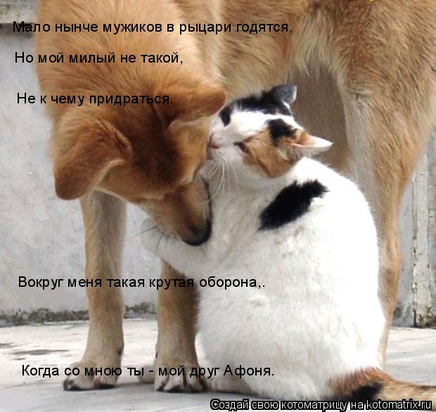 Мало нынче мужиков в рыцари годятся, Но мой милый не такой, Не к чему придраться. Вокруг меня такая... Котоматрица: Мало нынче мужиков в рыцари годятся, Но мой милый не такой, Не к чему придраться. Вокруг меня такая крутая оборона,. Когда со мною ты - мой др