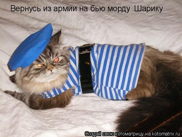 Вернусь из армии на бью морду Шарику... Котоматрица: Вернусь из армии на бью морду Шарику