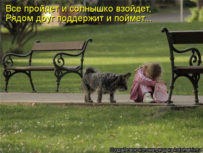 Все пройдет и солнышко взойдет, Рядом друг поддержит и поймет...... Котоматрица: Все пройдет и солнышко взойдет, Рядом друг поддержит и поймет...