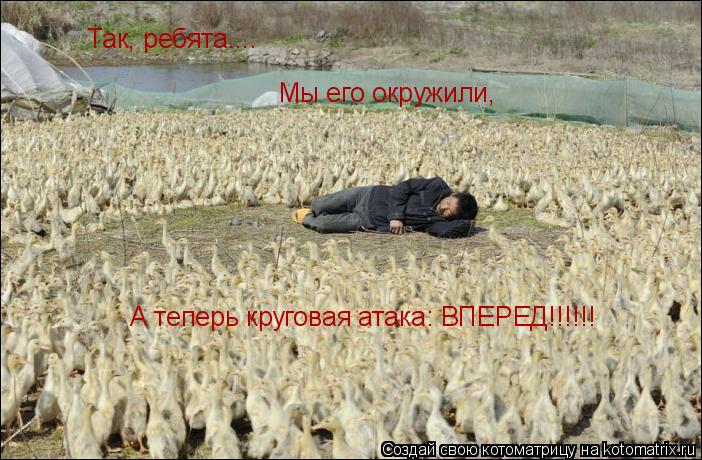 Так, ребята.... Мы его окружили, А теперь круговая атака: ВПЕРЕД!!!!!!... Котоматрица: Так, ребята.... Мы его окружили, А теперь круговая атака: ВПЕРЕД!!!!!!