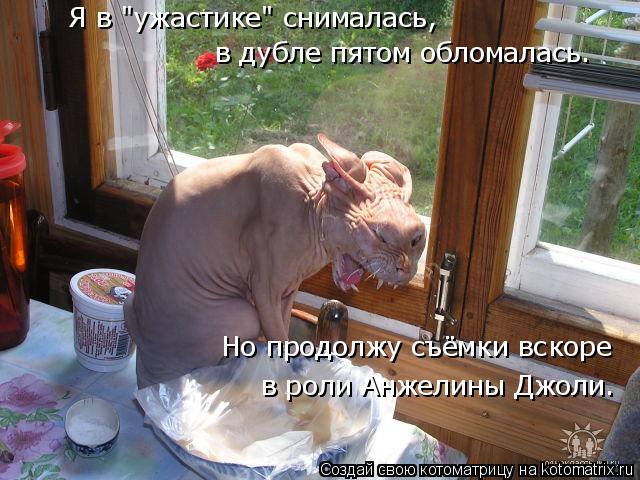 Я в "ужастике" снималась, в дубле пятом обломалась. Но продолжу съёмки вскоре в роли Анжелины Джоли.... Котоматрица: Я в "ужастике" снималась, в дубле пятом обломалась. Но продолжу съёмки вскоре в роли Анжелины Джоли.