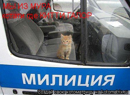 МЫ ИЗ МУРА кстати где КИТТИ ГАЛОР... Котоматрица: МЫ ИЗ МУРА кстати где КИТТИ ГАЛОР
