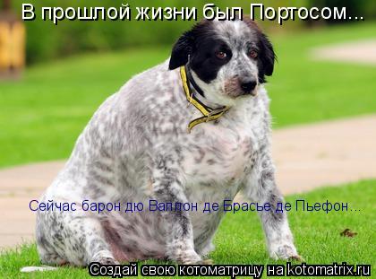 В прошлой жизни был Портосом... Сейчас барон дю Валлон де Брасье де Пьефон...... Котоматрица: В прошлой жизни был Портосом... Сейчас барон дю Валлон де Брасье де Пьефон...