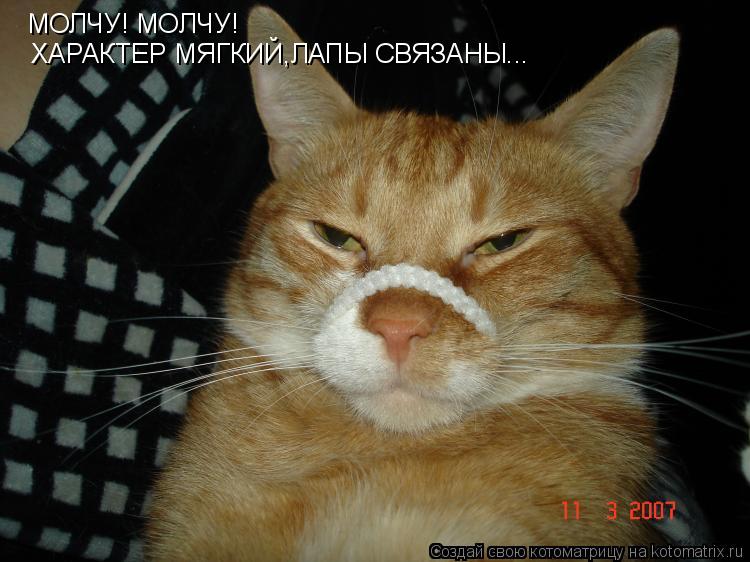 МОЛЧУ! МОЛЧУ! ХАРАКТЕР МЯГКИЙ,ЛАПЫ СВЯЗАНЫ...... Котоматрица: МОЛЧУ! МОЛЧУ! ХАРАКТЕР МЯГКИЙ,ЛАПЫ СВЯЗАНЫ...