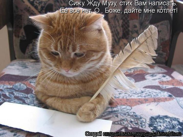 Сижу. Жду Музу, стих Вам написать. Её все нет. О , Боже, дайте мне котлет!... Котоматрица: Сижу. Жду Музу, стих Вам написать. Её все нет. О , Боже, дайте мне котлет!