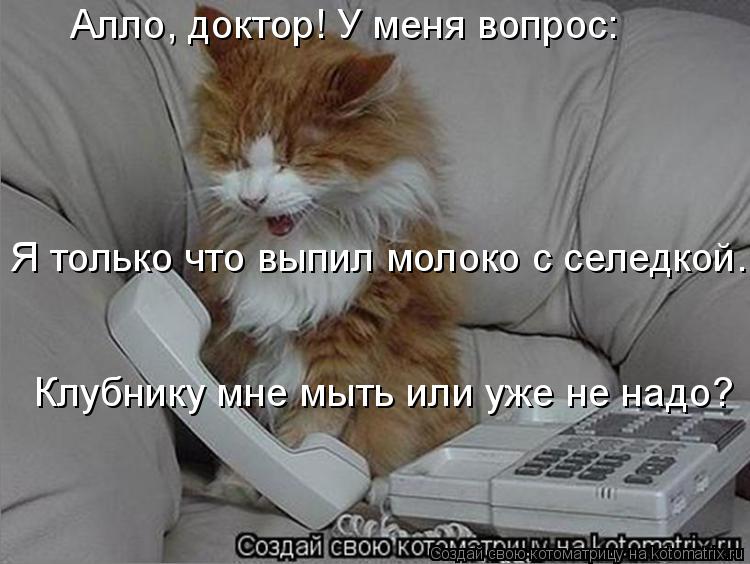 Алло, доктор! У меня вопрос: Я только что выпил молоко с селедкой. Клубнику мне мыть или уже не надо... Котоматрица: Алло, доктор! У меня вопрос: Я только что выпил молоко с селедкой. Клубнику мне мыть или уже не надо?