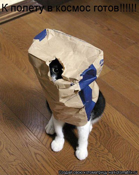 К полету в космос готов!!!!!!... Котоматрица: К полету в космос готов!!!!!!