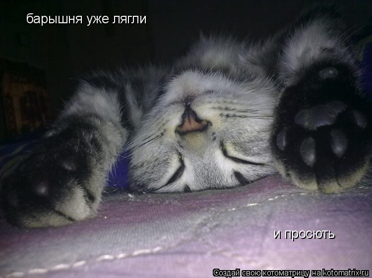 барышня уже лягли и просють... Котоматрица: барышня уже лягли и просють
