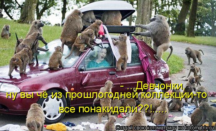 - ...Девчонки, ну вы чё из прошлогодней коллекции-то понакидали??!..... все... Котоматрица: - ...Девчонки, ну вы чё из прошлогодней коллекции-то понакидали??!..... все