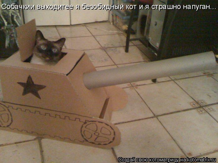 Собачкии выходитее я безобидный кот и я страшно напуган...... Котоматрица: Собачкии выходитее я безобидный кот и я страшно напуган...