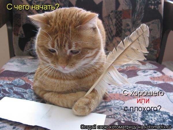 С чего начать? С хорошего или с плохого?... Котоматрица: С чего начать? С хорошего или с плохого?