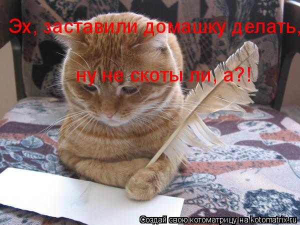 Эх, заставили домашку делать, ну не скоты ли, а?!... Котоматрица: Эх, заставили домашку делать, ну не скоты ли, а?!