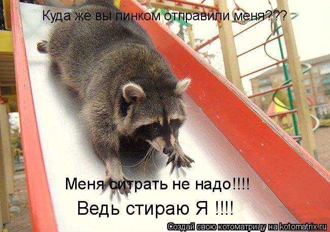 Куда же вы пинком отправили меня??? Меня ситрать не надо!!!! Ведь стираю Я !!!!... Котоматрица: Куда же вы пинком отправили меня??? Меня ситрать не надо!!!! Ведь стираю Я !!!!