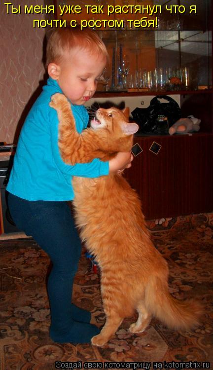 Ты меня уже так растянул что я почти с ростом тебя!... Котоматрица: Ты меня уже так растянул что я почти с ростом тебя!
