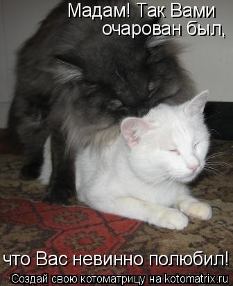 Мадам! Так Вами что Вас невинно полюбил! очарован был,... Котоматрица: Мадам! Так Вами что Вас невинно полюбил! очарован был,