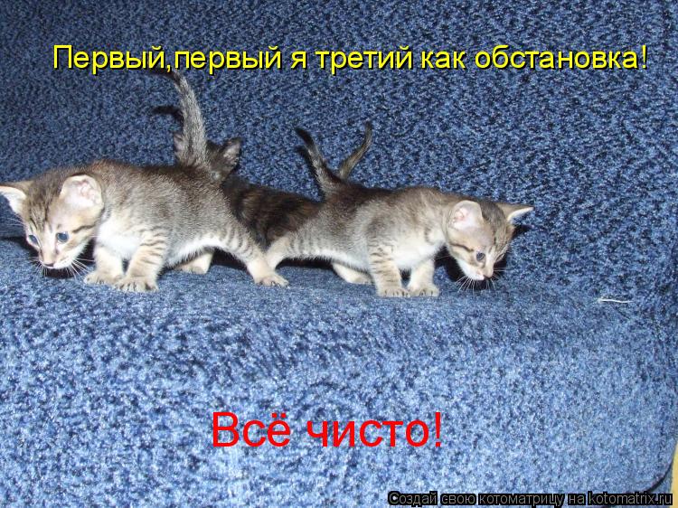 Первый,первый я третий как обстановка! Всё чисто!... Котоматрица: Первый,первый я третий как обстановка! Всё чисто!