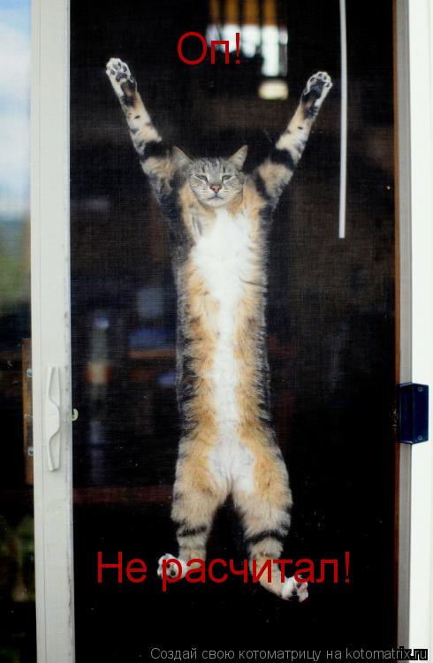 Котоматрица: Оп! Не расчитал!