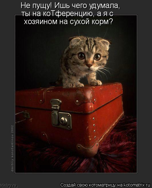 Не пущу! Ишь чего удумала, ты на коТференцию, а я с хозяином на сухой корм?... Котоматрица: Не пущу! Ишь чего удумала, ты на коТференцию, а я с хозяином на сухой корм?