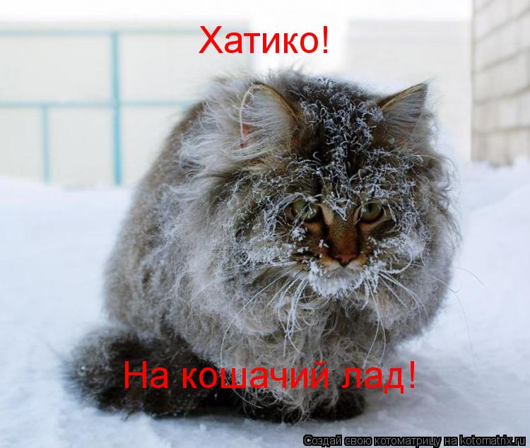 Котоматрица: Хатико! На кошачий лад!