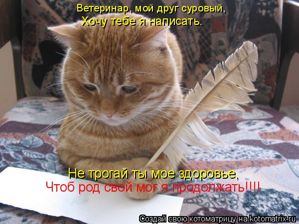 Ветеринар, мой друг суровый, Хочу тебе я написать. Не трогай ты мое здоровье, Чтоб род свой мог я про... Котоматрица: Ветеринар, мой друг суровый, Хочу тебе я написать. Не трогай ты мое здоровье, Чтоб род свой мог я продолжать!!!!