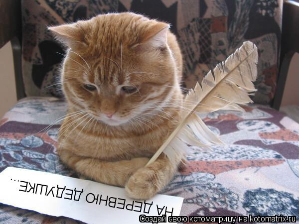 Котоматрица: НА ДЕРЕВНЮ ДЕДУШКЕ...