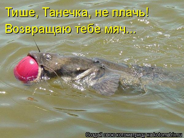 Котоматрица: Тише, Танечка, не плачь! Возвращаю тебе мяч...