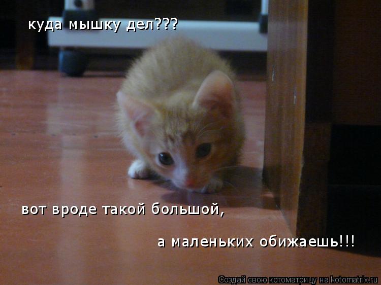 Котоматрица: куда мышку дел??? вот вроде такой большой, а маленьких обижаешь!!!