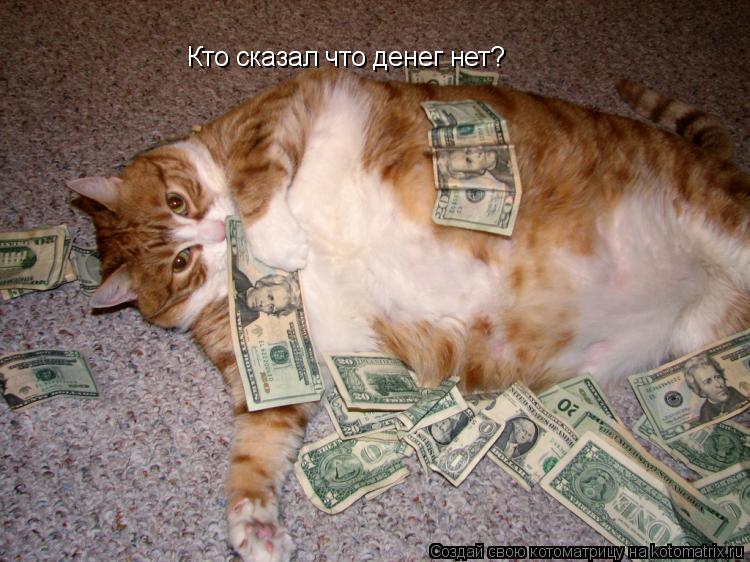 Котоматрица: Кто сказал что денег нет?