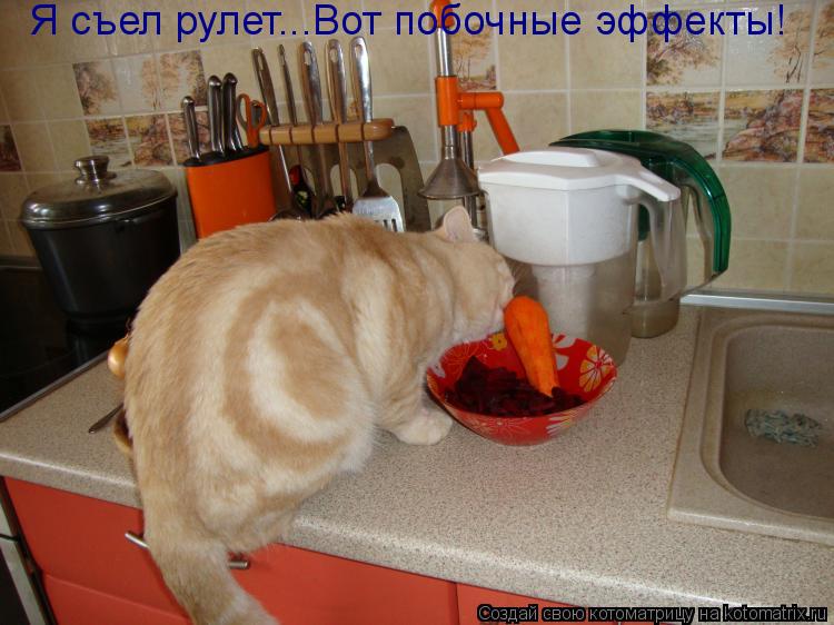 Котоматрица: Я съел рулет...Вот побочные эффекты!