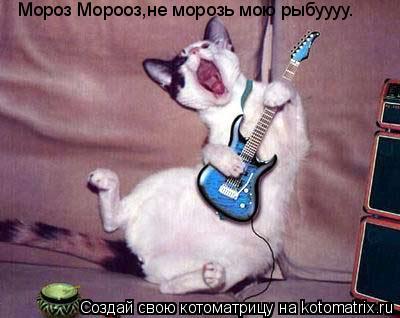 Мороз Морооз,не морозь мою рыбуууу.... Котоматрица: Мороз Морооз,не морозь мою рыбуууу.