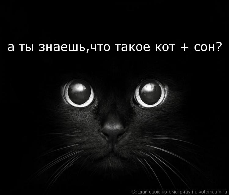 а ты знаешь,что такое кот + сон?... Котоматрица: а ты знаешь,что такое кот + сон?