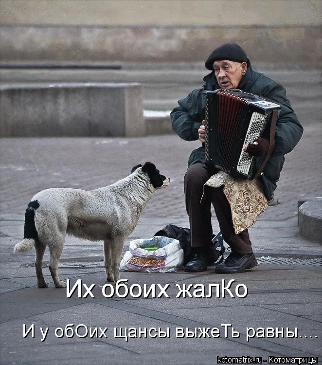 Их обоих жалКо И у обОих щансы выжеТь равны....... Котоматрица: Их обоих жалКо И у обОих щансы выжеТь равны....