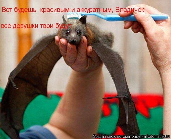 Вот будешь красивым и аккуратным, Владичек, все девушки твои будут. Наставляла мадам Дракула сына п... Котоматрица: Вот будешь красивым и аккуратным, Владичек, все девушки твои будут. Наставляла мадам Дракула сына перед прогулкой.
