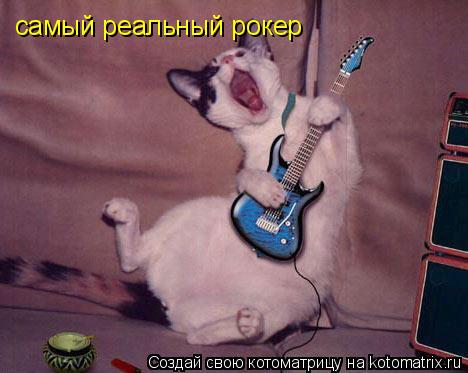 самый реальный рокер... Котоматрица: самый реальный рокер