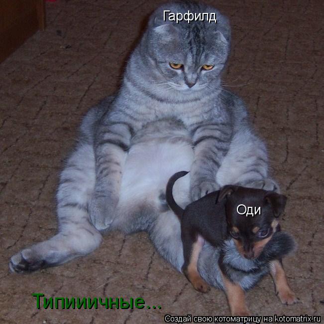 Гарфилд Оди Типииичные...... Котоматрица: Гарфилд Оди Типииичные...