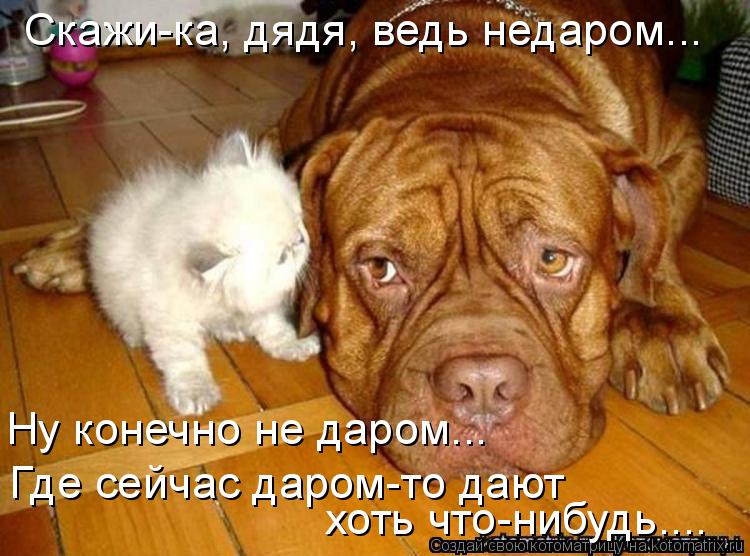 Скажи-ка, дядя, ведь недаром... Ну конечно не даром... Где сейчас даром-то дают хоть что-нибудь....... Котоматрица: Скажи-ка, дядя, ведь недаром... Ну конечно не даром... Где сейчас даром-то дают хоть что-нибудь....