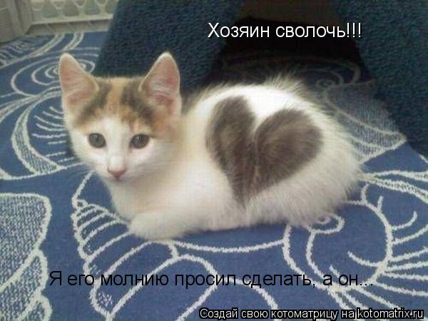 Хозяин сволочь!!! Я его молнию просил сделать, а он...... Котоматрица: Хозяин сволочь!!! Я его молнию просил сделать, а он...