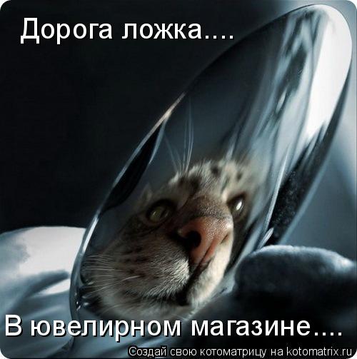 Дорога ложка.... В ювелирном магазине....... Котоматрица: Дорога ложка.... В ювелирном магазине....