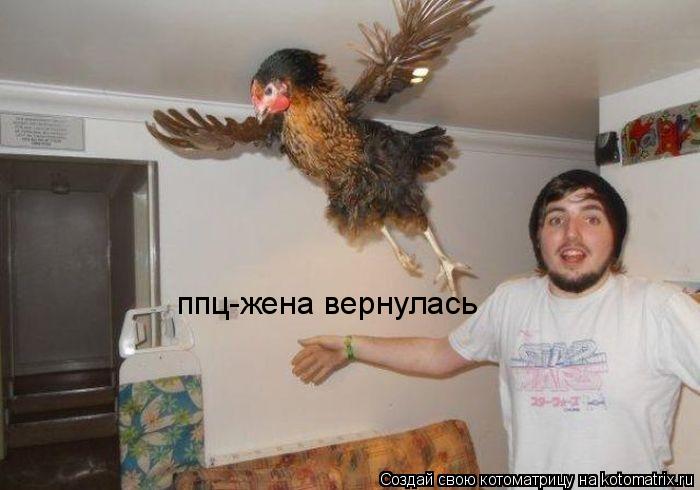 ппц-жена вернулась... Котоматрица: ппц-жена вернулась