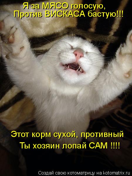 Я за МЯСО голосую, Против ВИСКАСА бастую!!! Этот корм сухой, противный Ты хозяин лопай САМ !!!!... Котоматрица: Я за МЯСО голосую, Против ВИСКАСА бастую!!! Этот корм сухой, противный Ты хозяин лопай САМ !!!!