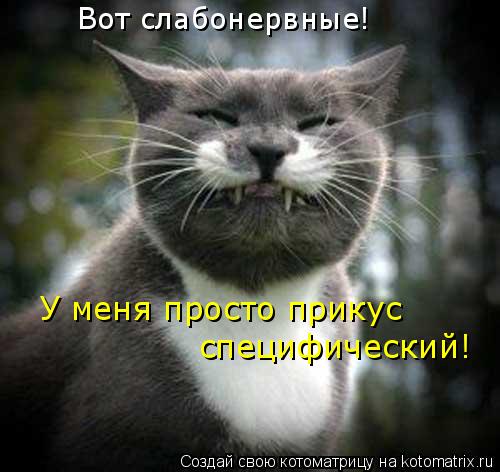 Вот слабонервные! У меня просто прикус специфический!... Котоматрица: Вот слабонервные! У меня просто прикус специфический!