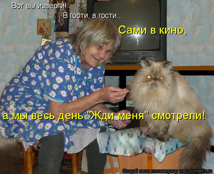 Вот вы изверги! В гости, в гости... Сами в кино, а мы весь день "Жди меня" смотрели!... Котоматрица: Вот вы изверги! В гости, в гости... Сами в кино, а мы весь день "Жди меня" смотрели!